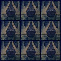 /album/galleria-fotografica/viso-blu-jpg/